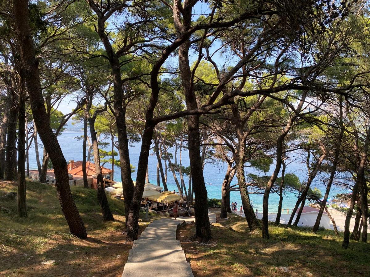 Villa Piscitelli Cavtat Exteriér fotografie